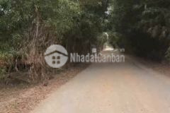 Bán đất lúa mặt tiền tỉnh lộ 820, xã tân phú, đức hòa giá giảm còn 5,5 tỷ