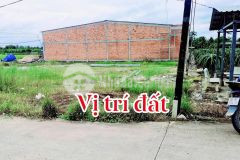 Bán đất 115m² full thổ cư ấp 3 nhựt chánh, bến lức cũ, 900 triệu