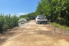 Bán đất vườn diên đồng giá rẻ đường bê tông oto vào tận nơi tặng vườn keo trên đất