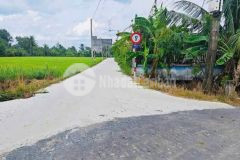 Bán đất thổ cư ấp 8, xã nhựt chánh, bến lức dt 980m2, đường beton xe 7c giá 3,3 tỷ