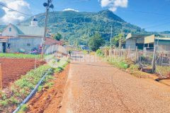 1 sào hẻm ql20, hiệp an cũ, đức trọng, lâm đồng