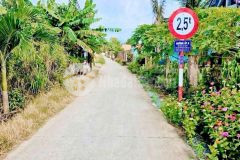 Bán 2 lô đất thổ cư ấp 8, xã nhựt chánh, bến lức dt 125,8m2 500 triệu 134,2m2 550 triệu