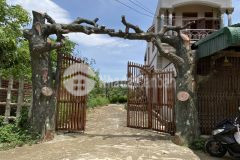 Bán lô đất 2 mặt tiền cực đẹp dt 228m2 tại miễu tiến xuân sát đh quốc gia hòa lạc lh0866990503