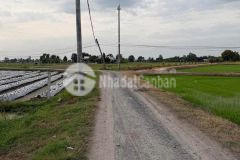 Bán đất thổ cư đường đá xanh ở xã bình hòa bắc, đức huệ dt 800m2 giá 1,35 tỷ