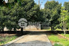 Chốt nhanh nền thổ cư cuối năm cạnh sân bay long thành giá chỉ 775 triệu