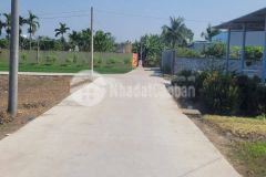 Bán lốc 11 nền thổ cư xã long khê, cần đước đường beton xe 7c dt 120 200m2 giá 1,55 tỷ nền