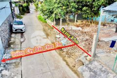 Bán đất diên an mặt đường cây dầu đường 2 oto tránh nhau gần 2310