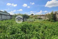 Chia tài sản cần bán gấp đất mt đường an hạ, xã phạm văn hai, bình chánh