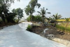 Bán đất vườn xã tân bửu, bến lức, long an dt 5000m2 giá 16,5 tỷ