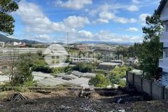 Cần bán căn villa 2 mặt tiền mai anh đào trần đại nghĩa p8 đà lạt