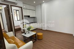 Bán căn hộ chung cư đường hoàng ngân, thanh xuân, nhà đẹp lô góc, ngõ thông ô tô