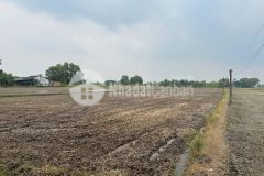 Bán đất lúa 2520m2 kế bên ngã 4 an lái giáp ranh bến lức tại xã nhựt tảo tỉnh tây ninh