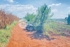 2,5 ha, hẻm tân hội, đức trọng cũ, lâm đồng