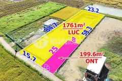 Bán lô thổ lúa 1960m2 có 8x25 thổ mt đường 3m cách tl833b 1km xã nhựt tảo tỉnh tây ninh