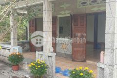 Bán nhà cấp 4 dt 9.3x40 thổ cư cách tl833 200 cách ngã 4 lạc tấn 500m xã nhựt tảo tỉnh tây ninh