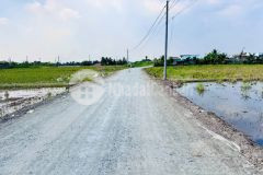 Bán đất thổ cư mt đường beton trần văn lợi, xã bình trinh đông, tân trụ dt 150m2 giá 590 triệu