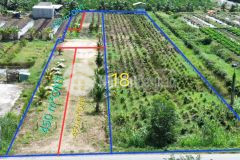 Bán đất mặt tiền tỉnh lộ 818, xã tân thành, huyện thủ thừa dt 1926m2 có 1080m2 thổ giá 7,5 tỷ