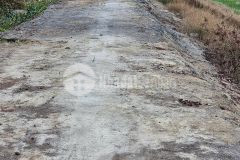 Bán đất mt sông vàm cỏ đông xã hòa khánh nam tdt 9000m2 có 185m2 thổ giá 12,5 tỷ