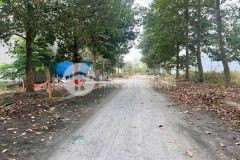 Bán nền thổ cư đường số 7, kdc 135, thị trấn bến lức dt 144m2 giá giảm còn 3 tỷ