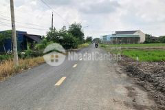 Bán 2 lô thổ cư mặt tiền nguyễn quang đại, xã mỹ lệ dt 125 m2 giá 1,2 tỷ 1 lô