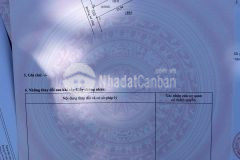 Tiền ít mà muốn hítthịt nhiều