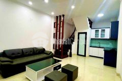 Bán nhà 5 tầng lô góc, hai mặt đường, ô tô đỗ cửa, ngõ thông phố thịnh liệt hoàng mai.