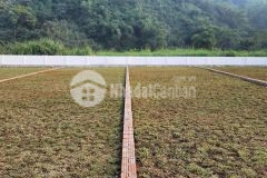 Đất 400m² cư yên gần kcn quần thể nghỉ dưỡng, tiềm năng tăng giá tốt