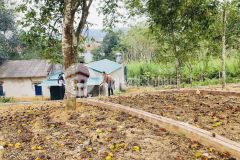 Tâm điểm đầu tư kỳ sơn đón sóng công nghiệp nghỉ dưỡng chỉ hơn 3trm²