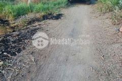 Bán đất thổ lúa ấp 1 xã tân thành, thủ thừa tdt 1907m2 có 300m2 thổ giá 1,99 tỷ