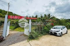 Bán farm khánh phú đã lên mô hình khai thác ổn định qh full thổ cư gần quốc lộ 27c