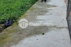 Bán đất thổ cư hẻm tỉnh lộ 823, thị trấn hậu nghĩa dt 300m2 giá 1,6 tỷ