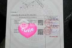 Bán đất thổ cư mt đường nguyễn thị tầm, xã bình lãng, tân trụ dt 110m2 giá giảm còn 380tr