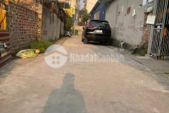 Cần bán 150m2 đất lạc hồng, văn lâm, cực đẹp, giá tốt 0835459289