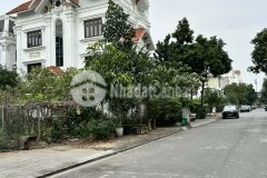 Bán đất biệt thự khu đấu giá 31ha trâu quỳgia lâm 236m2 đường to vị trí đẹp kinh doanh