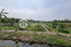 Bán đất vườn xã tân thành, thủ thừa dt 2000m2 giá 1,12 tỷ