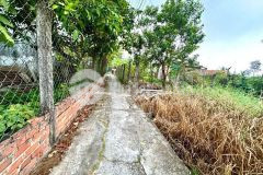 Bán nhà cấp 4 đuờng beton xe ba gác nhựt chánh, bến lức dt 217m2 full thổ 2pn, 1wc giá 1,19 tỷ