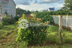 1300m2 hẻm đối diện trường cấp 3 hoàng hoa thắm, n thôn hạ, đức trọng cũ, lâm đồng