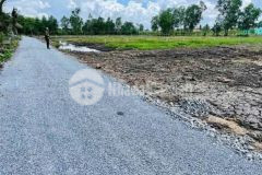 Bán đất vườn view kênh xã thạnh hòa, bến lức dt 3016m2 giá 3,1 tỷ