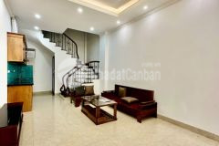 Nhà đẹp hiếm giá rẻ nội thất hiện đại ngõ phố hoa lâm dt 30m2. giá 7.3 tỷ