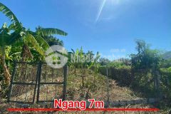 Bán đất diên toàn gần chợ thôn phước trạch đường thông view cánh đồng mát mẻ