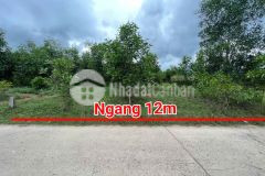 Bán đất vườn diên xuân giá rẻ mặt đường bê tông gần chợ gần khu dân cư