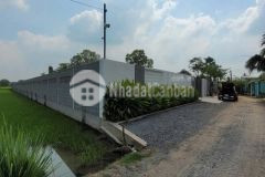 Bán đất thổ vườn xã phước lợi, bến lức tdt 1967m2 300m2 thổ có tường rào bao quanh giá 6,45 tỷ