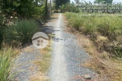 Bán đất thổ cư xã phước vân, cần đước dt 1825m2 đường xe máy giá 4,5 tỷ