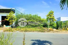 Chủ gửi bá.n nền 100m² đường bùi quang trinh kdc phú an, phường hưng phú, tp. cần thơ