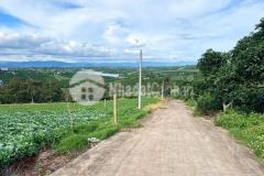 Chủ kẹt tiền cần bán nhanh mảnh vườn gần hồ trị an, diện tích rộng 1.500m²