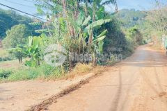 4 sào hẻm ql27, dran, đơn dương, lâm đồng