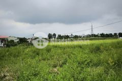 Bán nhanh đất bến lức cách ql1a 300m 1.288m2 53x25 full thổ cư giá 17 triệum2, shr