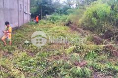 Bán đất thổ cư đường beton xe hơi xã tân lân, cần đước dt 154m2 giá 850 triệu