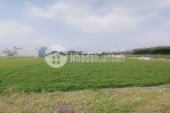 Bán đất mặt tiền lê thị mai xtt 6 cũ, xuân thới sơn, hóc môn, 3803m2, ngang 42m, giá rẻ.