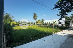 Ai tìm đất đạo thạnh nên xem nền này sẵn thổ cư, mua là xây